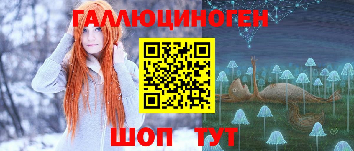 купить  сайты  Псилоцибиновые грибы прущие грибы  Благодарный  Вход с VPN  Псилоцибиновые грибы мицелий 